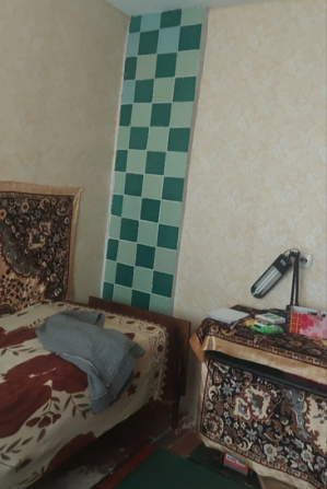 Продается дом в Пролетарском р-не, пгт Горбачево-Михайловка Donetsk - photo 5