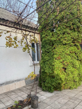Дом 120 м2 в Калининском р-не. ул. П. Осипенко Donetsk - photo 8
