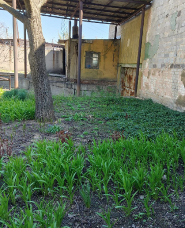 Коммерческое посещение в Киевском р-е Donetsk - photo 3